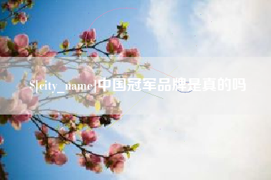 凤城中国冠军品牌是真的吗