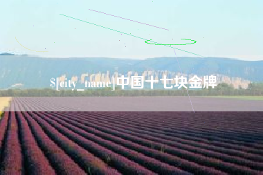 凤城中国十七块金牌