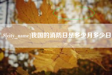 凤城我国的消防日是多少月多少日