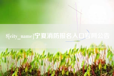 凤城宁夏消防报名入口官网公告