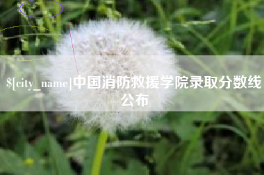 凤城中国消防救援学院录取分数线公布