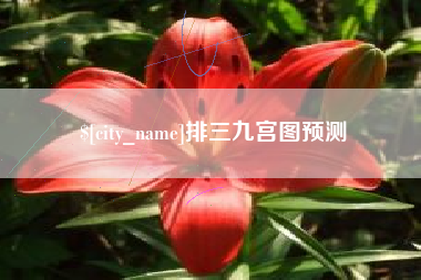 凤城排三九宫图预测