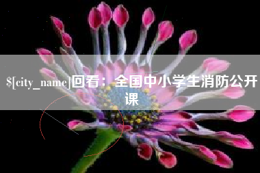 凤城回看：全国中小学生消防公开课
