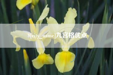 凤城九宫格优点