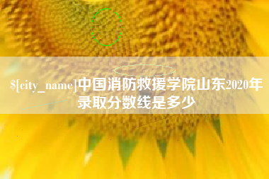 凤城中国消防救援学院山东2020年录取分数线是多少