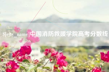 凤城中国消防救援学院高考分数线