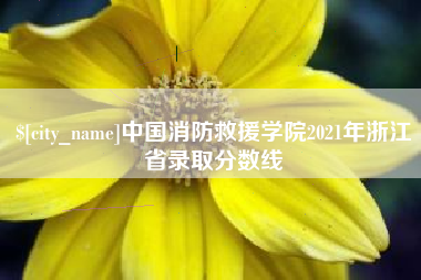凤城中国消防救援学院2021年浙江省录取分数线
