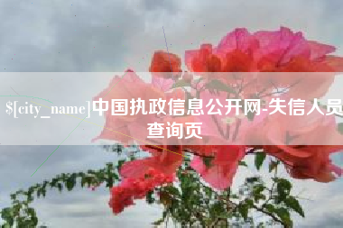 凤城中国执政信息公开网-失信人员查询页