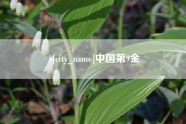凤城中国第9金