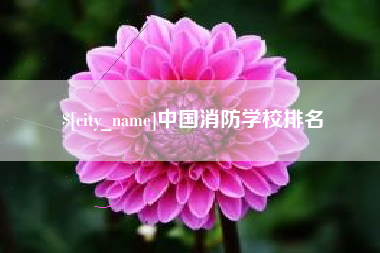 凤城中国消防学校排名