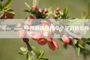 凤城中国消防官网中小学消防公开课