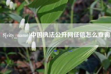 凤城中国执法公开网征信怎么查询