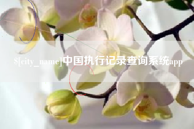 凤城中国执行记录查询系统app