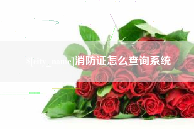 凤城消防证怎么查询系统