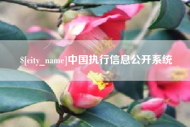 凤城中国执行信息公开系统
