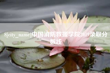凤城中国消防救援学院2019录取分数线
