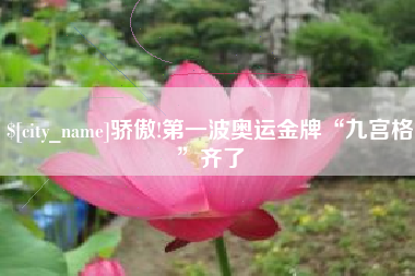 凤城骄傲!第一波奥运金牌“九宫格”齐了
