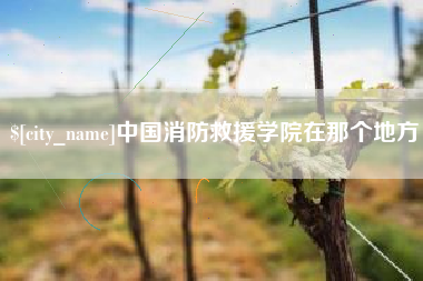 凤城中国消防救援学院在那个地方