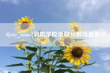 凤城消防学校录取分数线是多少