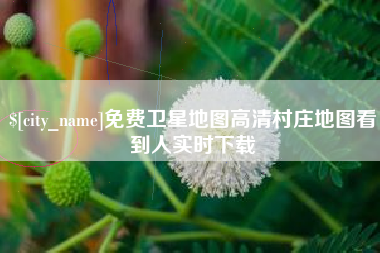 凤城免费卫星地图高清村庄地图看到人实时下载