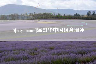 凤城温哥华中国组合滑冰
