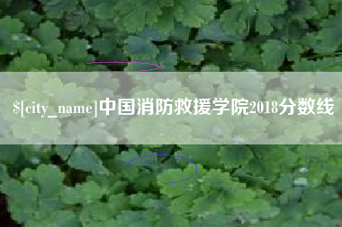凤城中国消防救援学院2018分数线