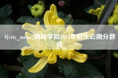 凤城消防学院2024年招生云南分数线