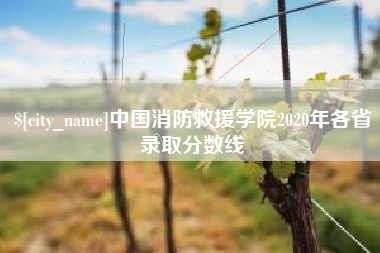 凤城中国消防救援学院2020年各省录取分数线