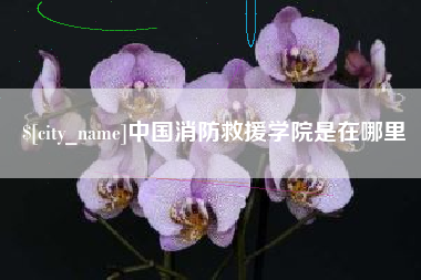 凤城中国消防救援学院是在哪里
