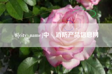 凤城中囯消防产品信息网