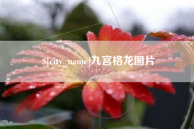 凤城九宫格龙图片