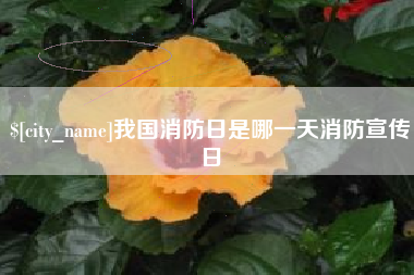 凤城我国消防日是哪一天消防宣传日