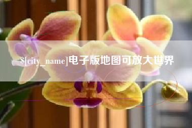 凤城电子版地图可放大世界