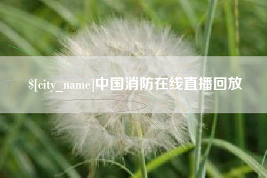 凤城中国消防在线直播回放