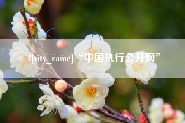 凤城“中国执行公开网”