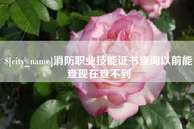 凤城消防职业技能证书查询以前能查现在查不到