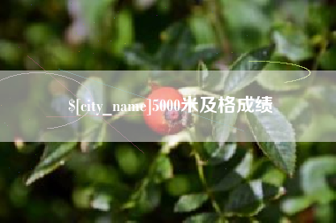 凤城5000米及格成绩