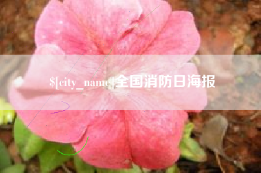 凤城全国消防日海报