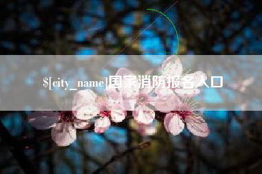 凤城国家消防报名入口