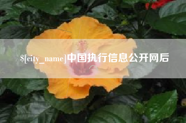 凤城中国执行信息公开网后