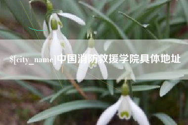 凤城中国消防救援学院具体地址