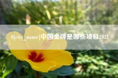 凤城中国金牌是哪些项目2021