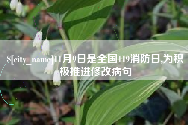 凤城11月9日是全国119消防日,为积极推进修改病句