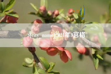 凤城2021年9宫格