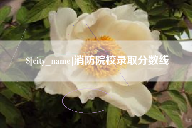 凤城消防院校录取分数线