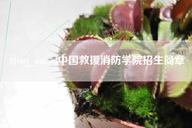 凤城中国救援消防学院招生简章