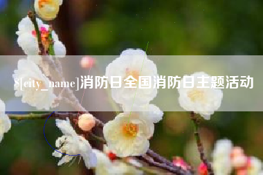 凤城消防日全国消防日主题活动