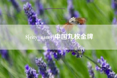 凤城中国九枚金牌
