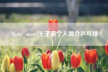 凤城王子豪个人简介乒乓球