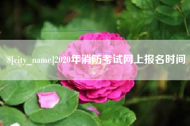 凤城2020年消防考试网上报名时间